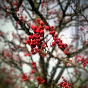 Meet your Posher, Richa